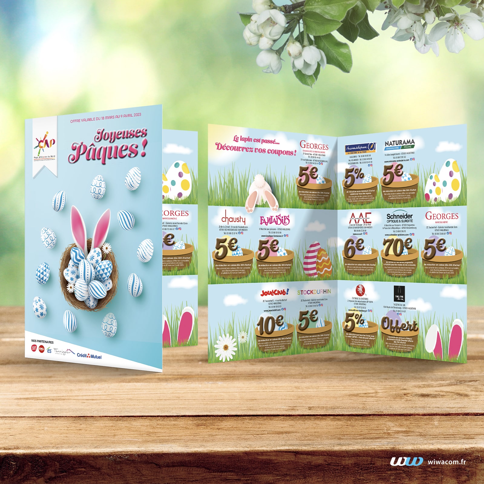 Création dépliant pour la CAP