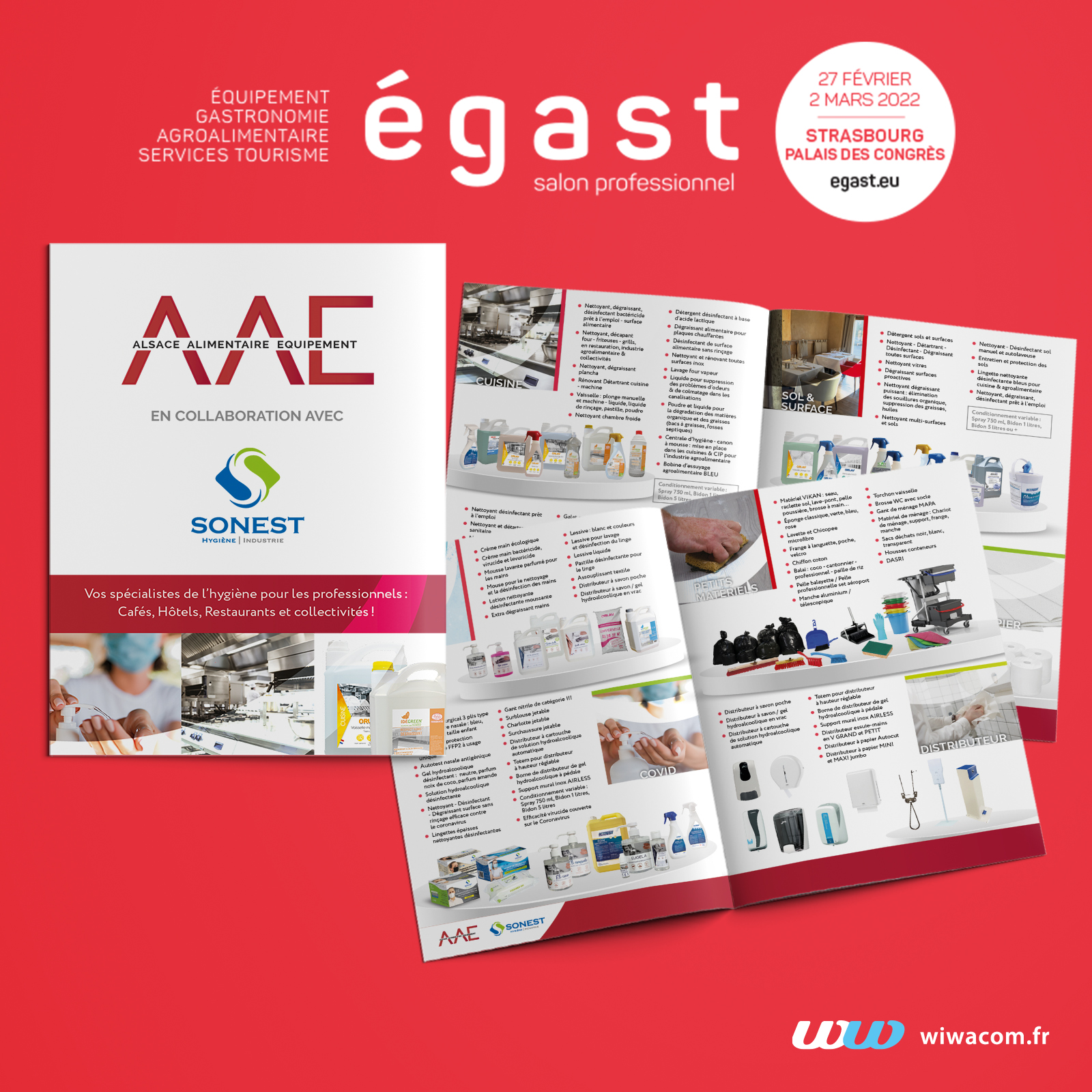 Sonest - AAE - Catalogue