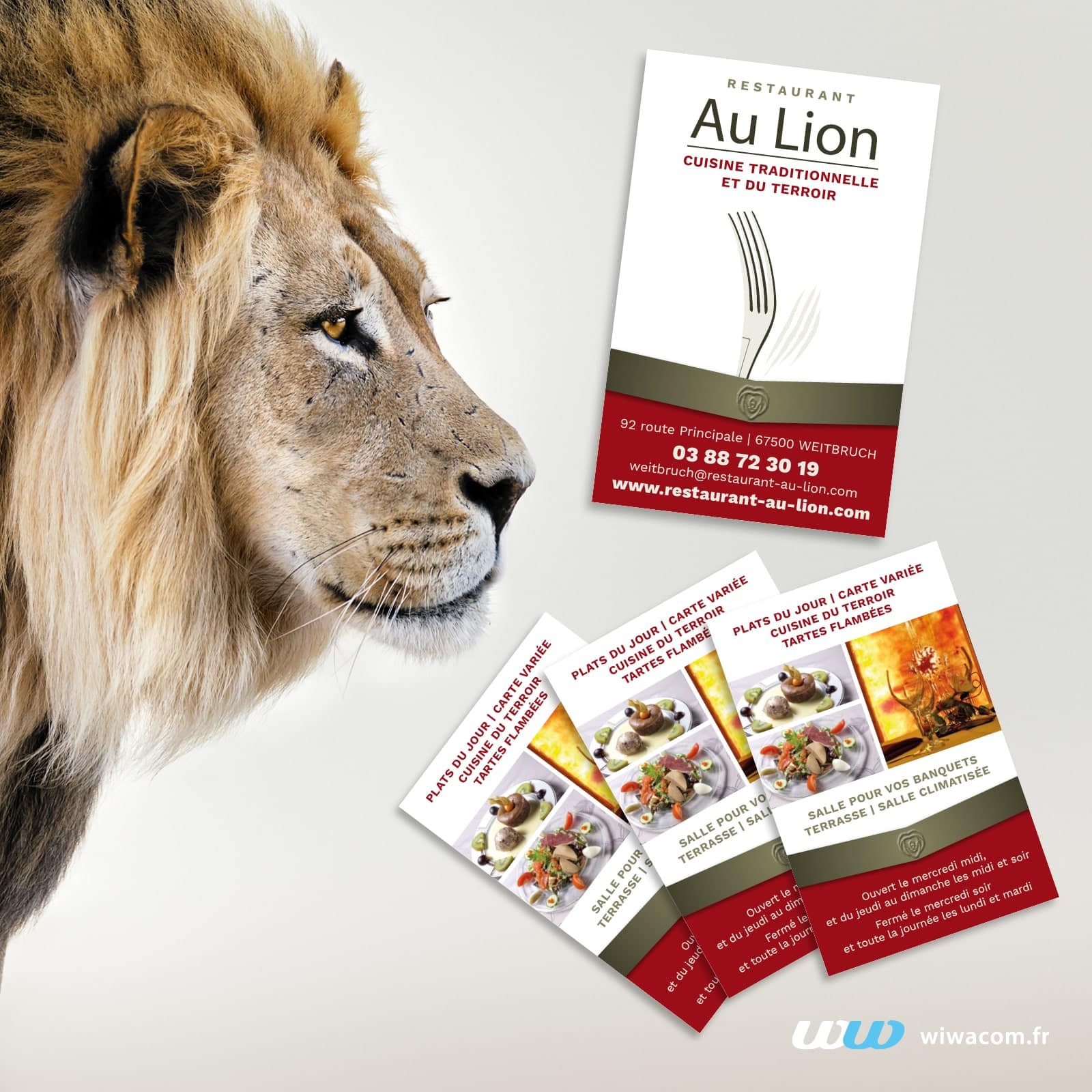 Restaurant au Lion : CV