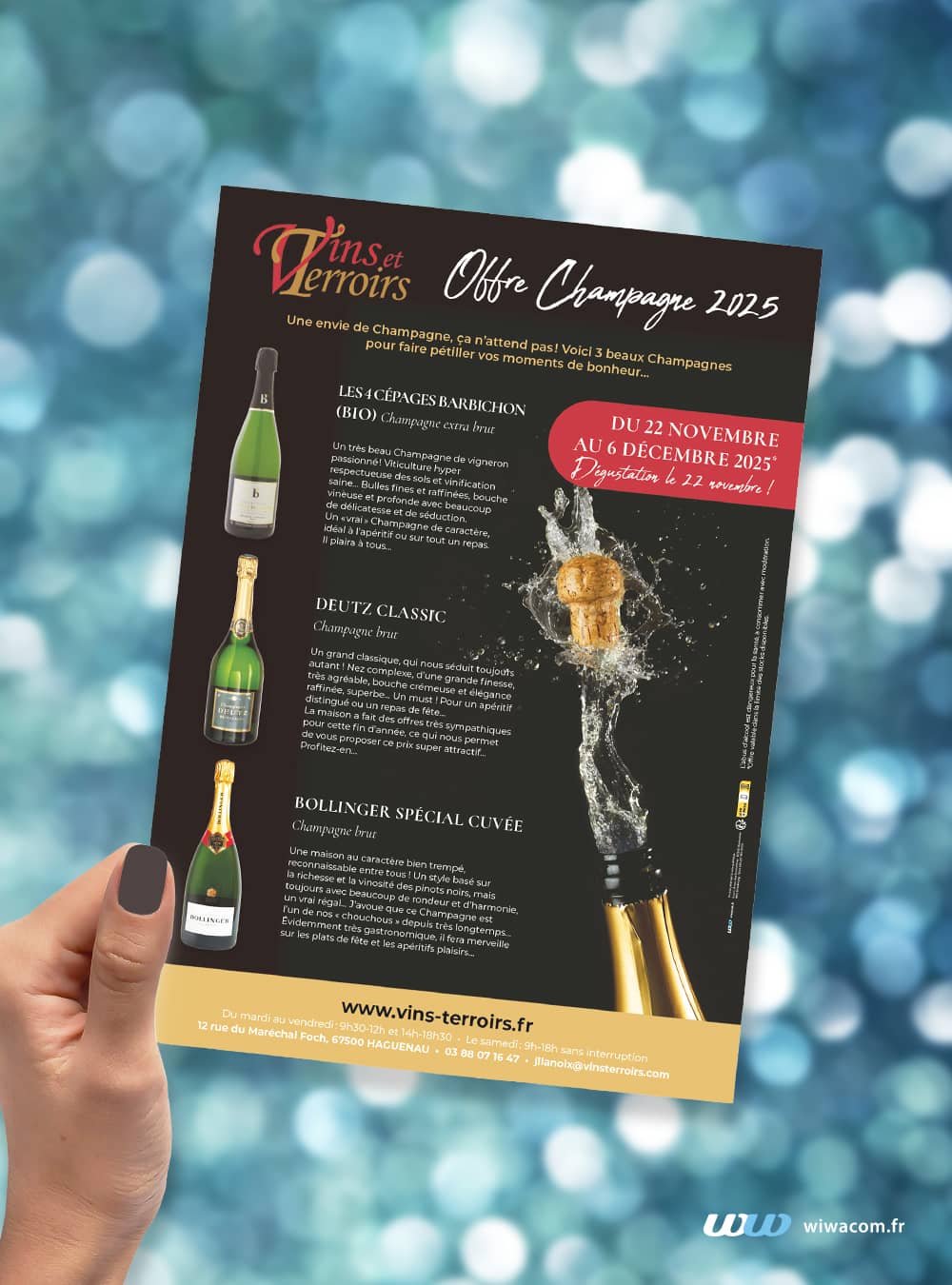 Tract champagnes Vins et Terroirs